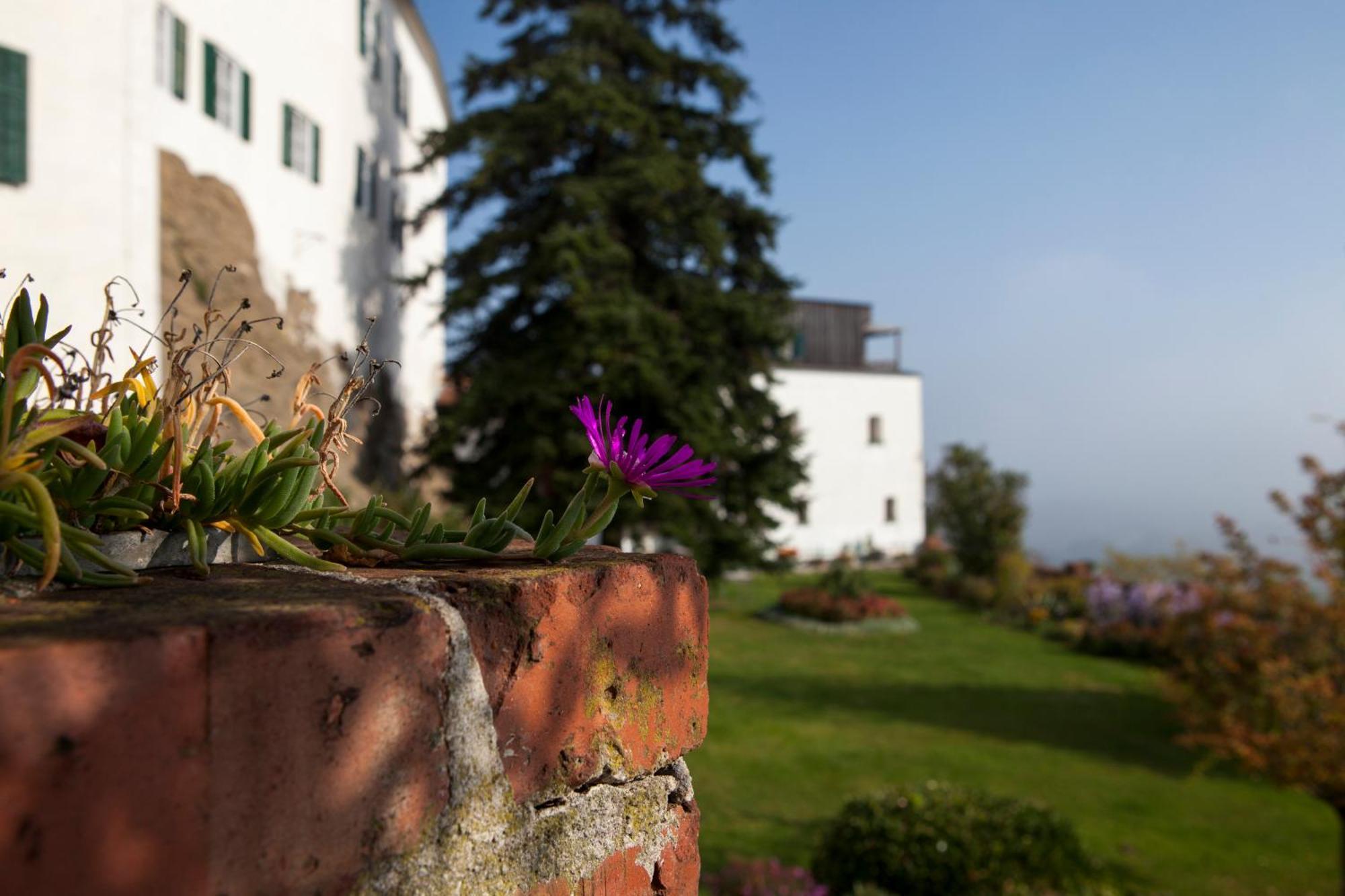 Schloss Kapfenstein Екстер'єр фото